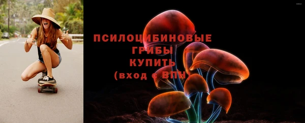 прущий лед Елабуга