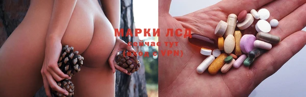 хмурый Елизово