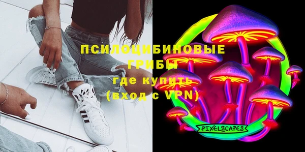 первитин Ельня