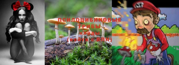 хмурый Елизово