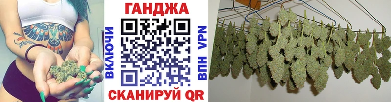 Каннабис индика Абакан